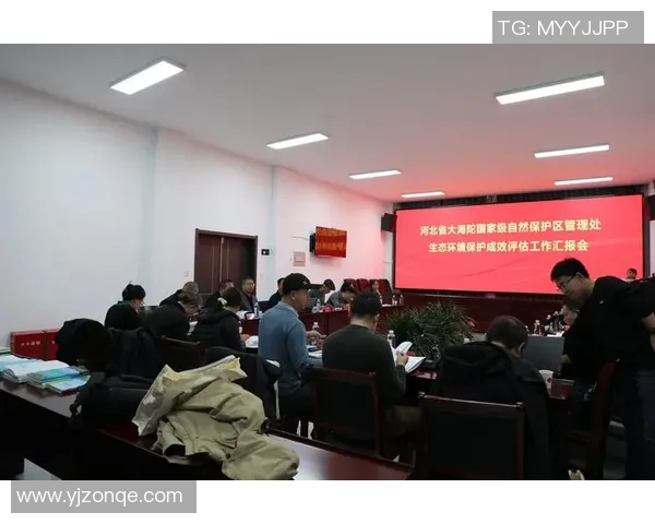 LNG战队防守策略分析与成效评估探讨